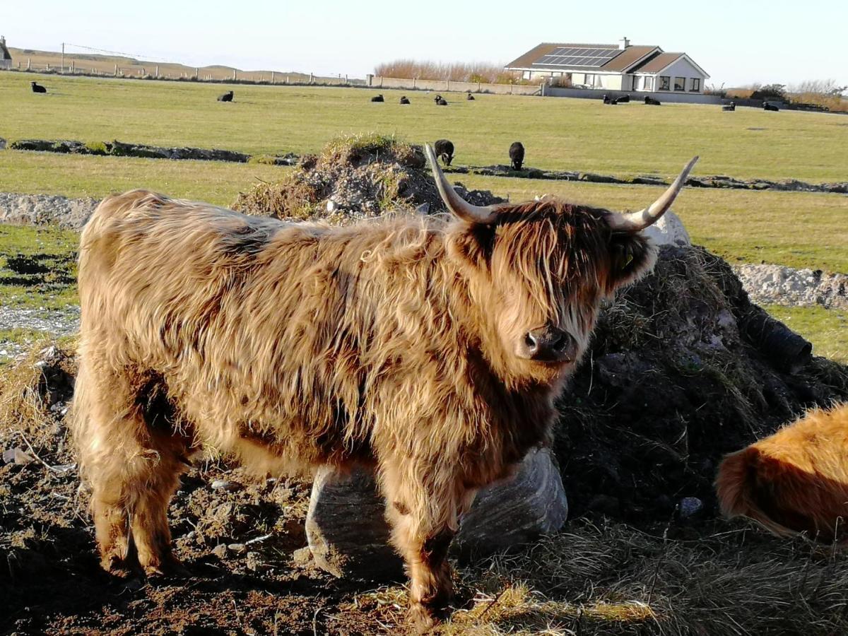 The Fisherman'S Snug Self Catering North Uist Paible Kültér fotó